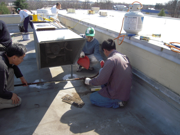 Resized_va roof 047.jpg